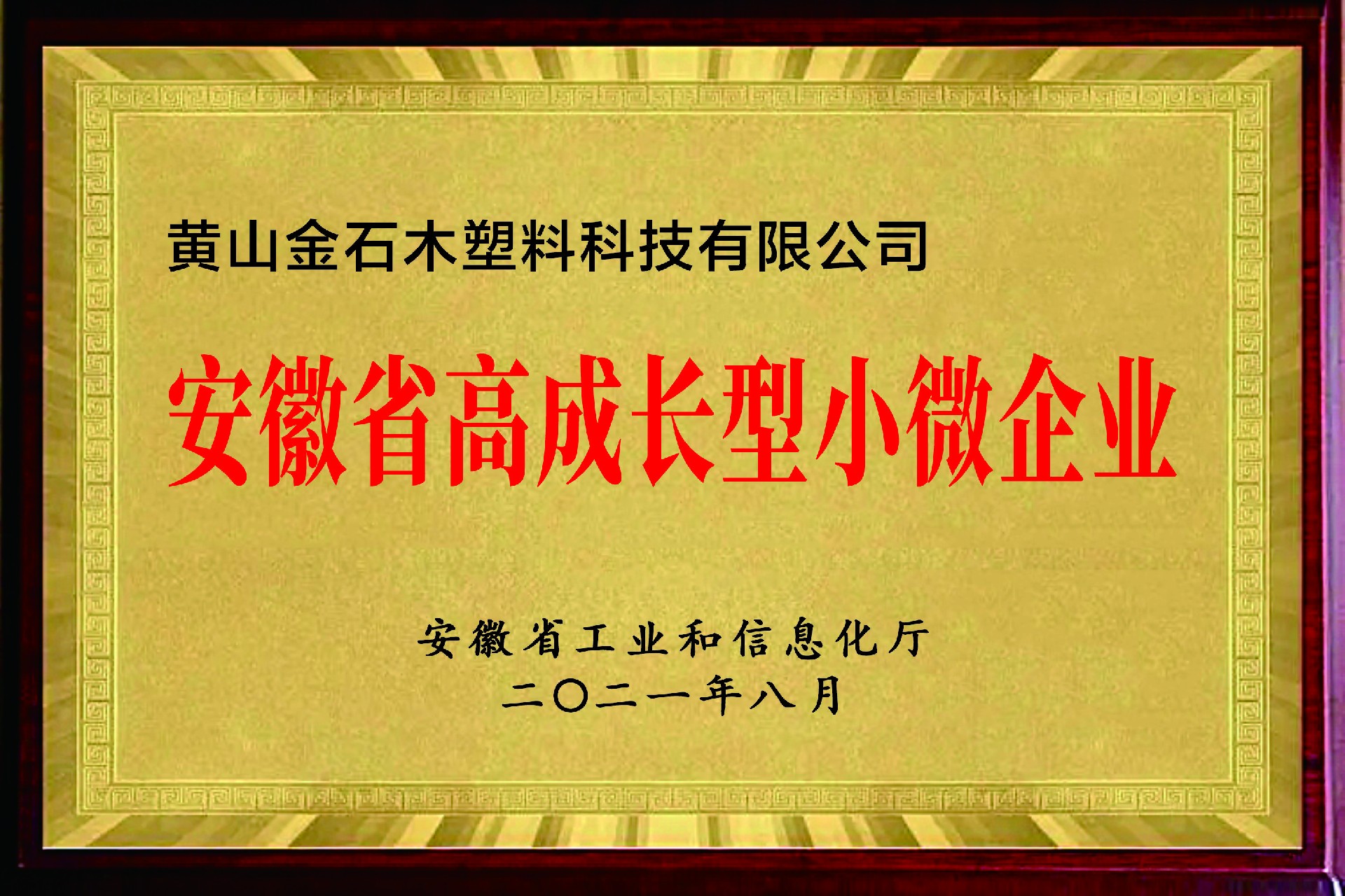 安徽省高成长型小微企业.jpg